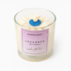 Lavender Soy Candle